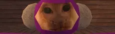 Capuchin Monkeys hero image