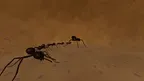 I Am Ant screenshot 4