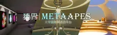 Metaapes Bizshow hero image