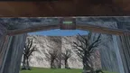 Climbing Gorillas screenshot 2