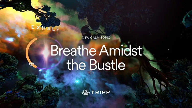 Developer update image for New Calm Topic