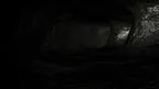 Primate Panic! screenshot 4