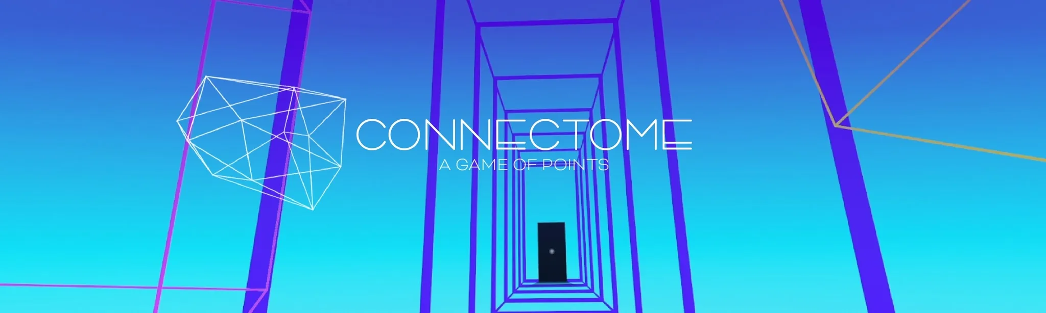 CONNECTOME