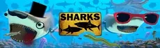 SHARKS hero image