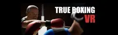 True Boxing VR hero image