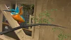 Relax With Bird screenshot 3