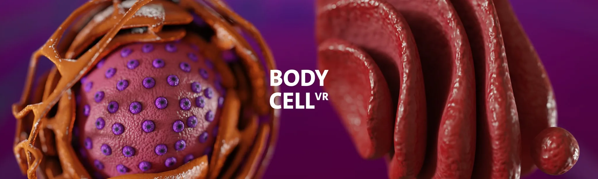 Body Cell VR