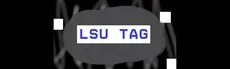 LSU Tag hero image