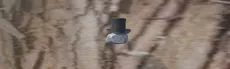 The Rock Runners hero image