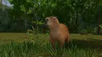 Supervivencia en Selva PERÚ screenshot 3