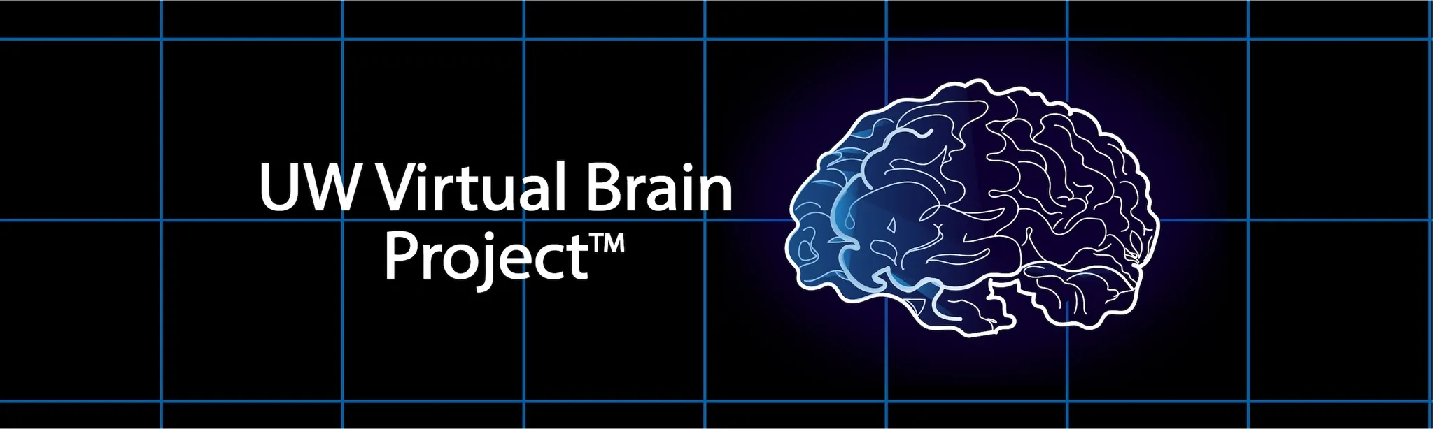 UW Virtual Brain Project