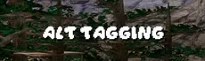 Alt Tagging hero image