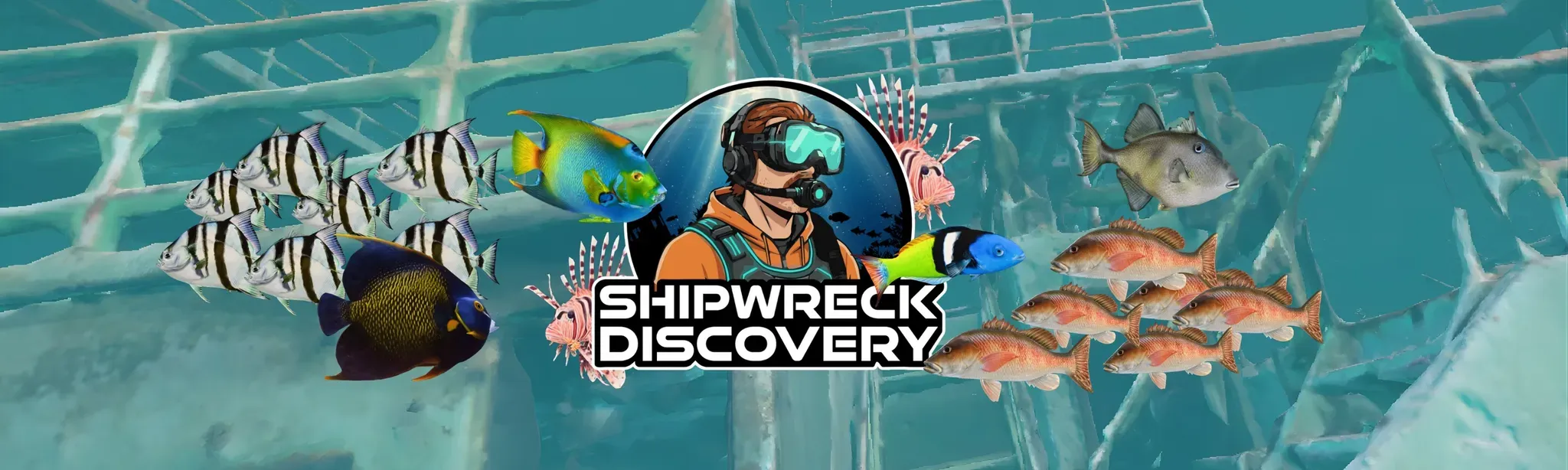 Shipwreck Discovery