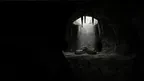 LethalApe screenshot 3