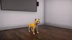 VBIDogExposure screenshot 4