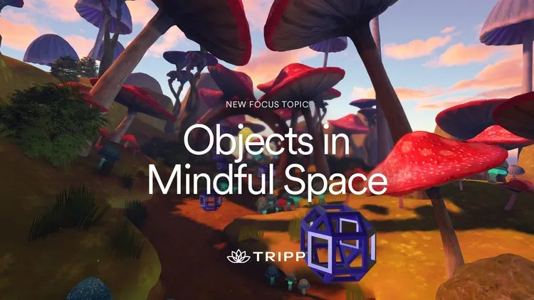 Developer update image for New Focus Topic!