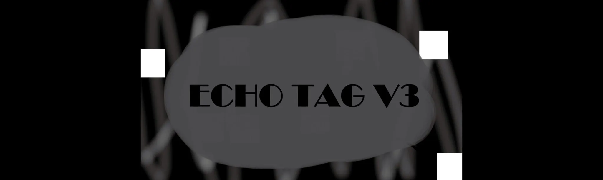 ECHO TAG V3 hero image