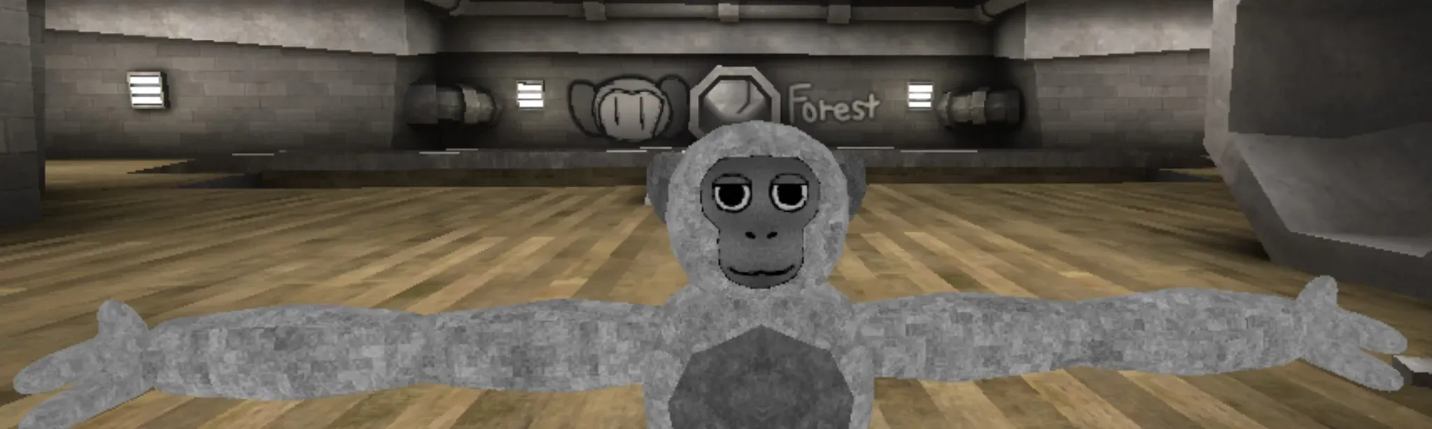 Maccoons Remake
