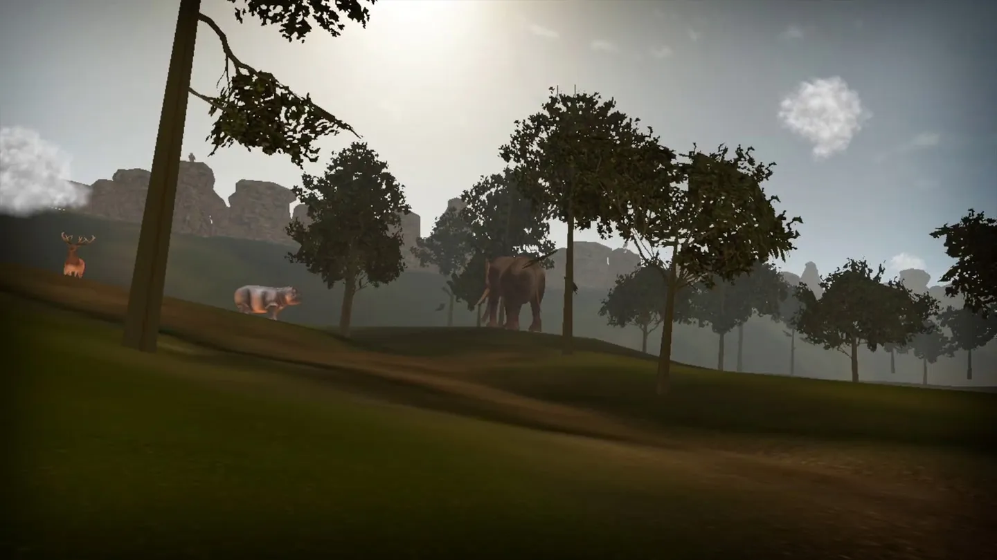 Jungle - Virtual Forest Tour cover image