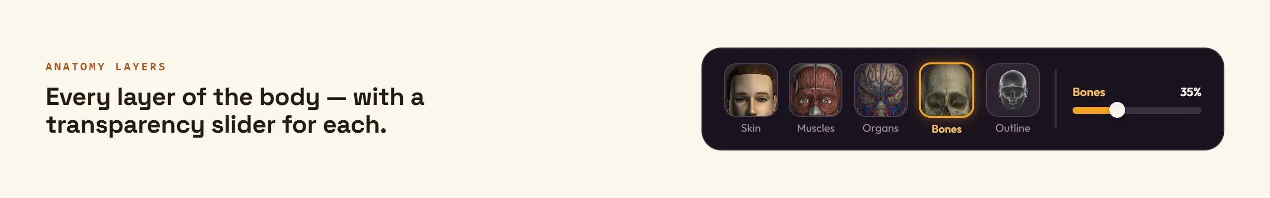 {"height":400,"type":"image","width":2560}
