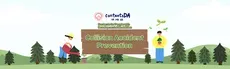 Collision Accident Prevention hero image