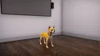 VBIDogExposure screenshot 4