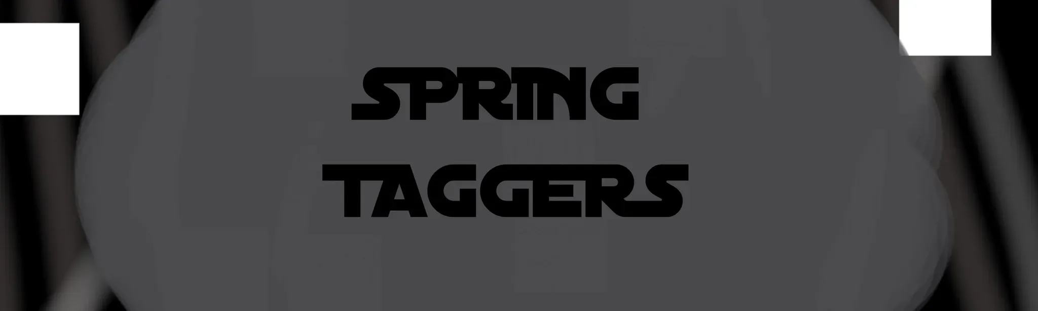Spring Taggers