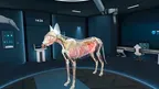 Animal Anatomy XR screenshot 2