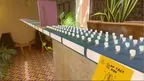 Everyday Party screenshot 3