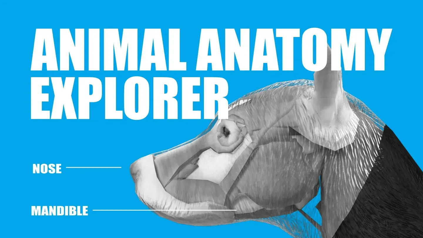 Animal Anatomy Explorer trailer 0
