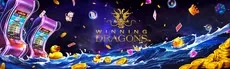 Winning Dragons hero image