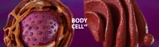 Body Cell VR hero image