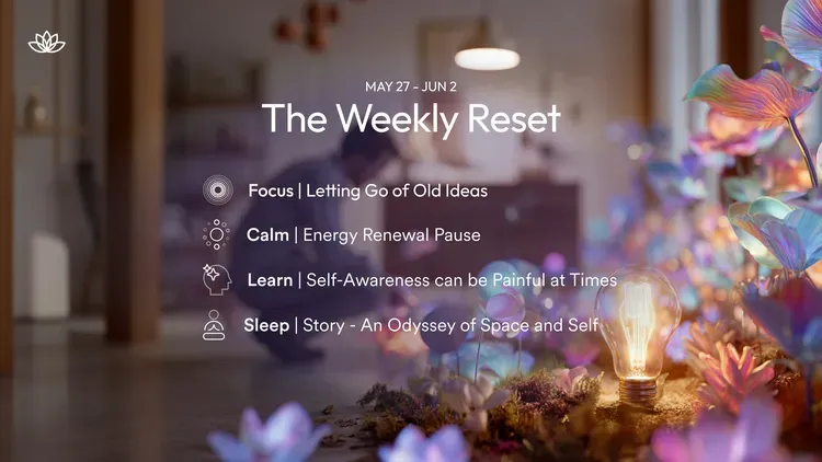Developer update image for The Weekly Reset: May week 4