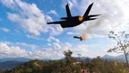 FlyMe Remote control airplane Dogfight screenshot 1
