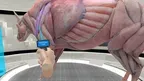 Animal Anatomy Explorer screenshot 3