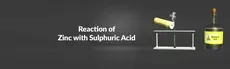 Reaction of Zinc with Sulfuric Acid  hero image
