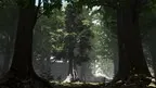 Augmented Life Experience screenshot 4