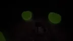 Dread screenshot 4