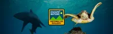 Victoria VR - ESCAPE to Nature GALLERY hero image