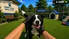 Animal Shelter VR: Pet Care Simulator screenshot 2