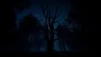 Slender screenshot 0