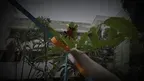 DripBeaks screenshot 1