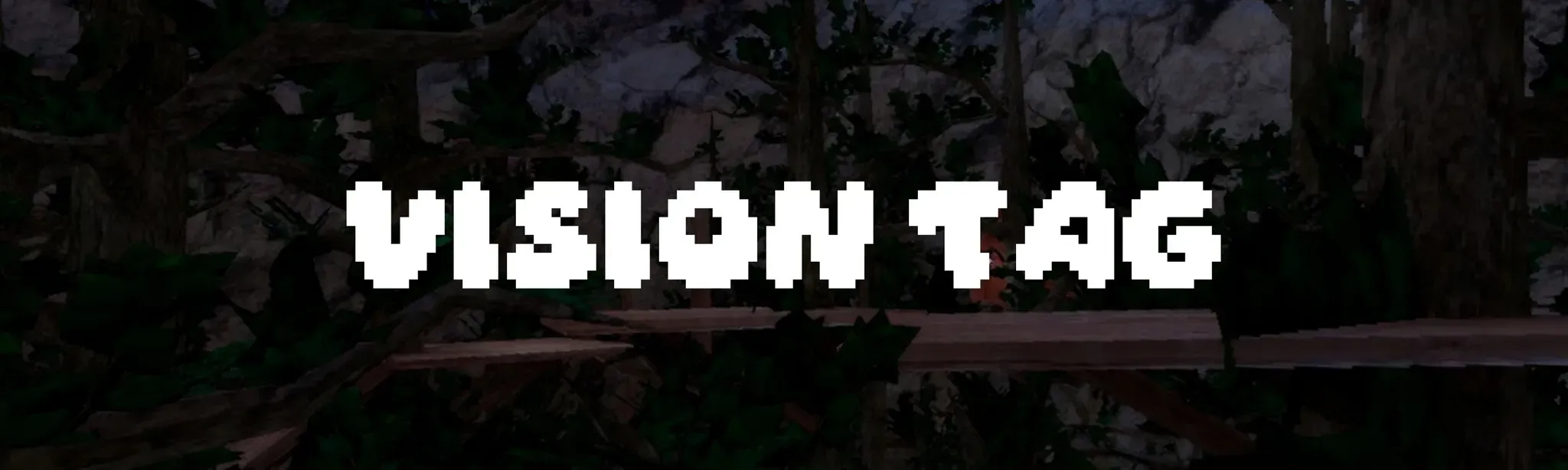 Vision Tag