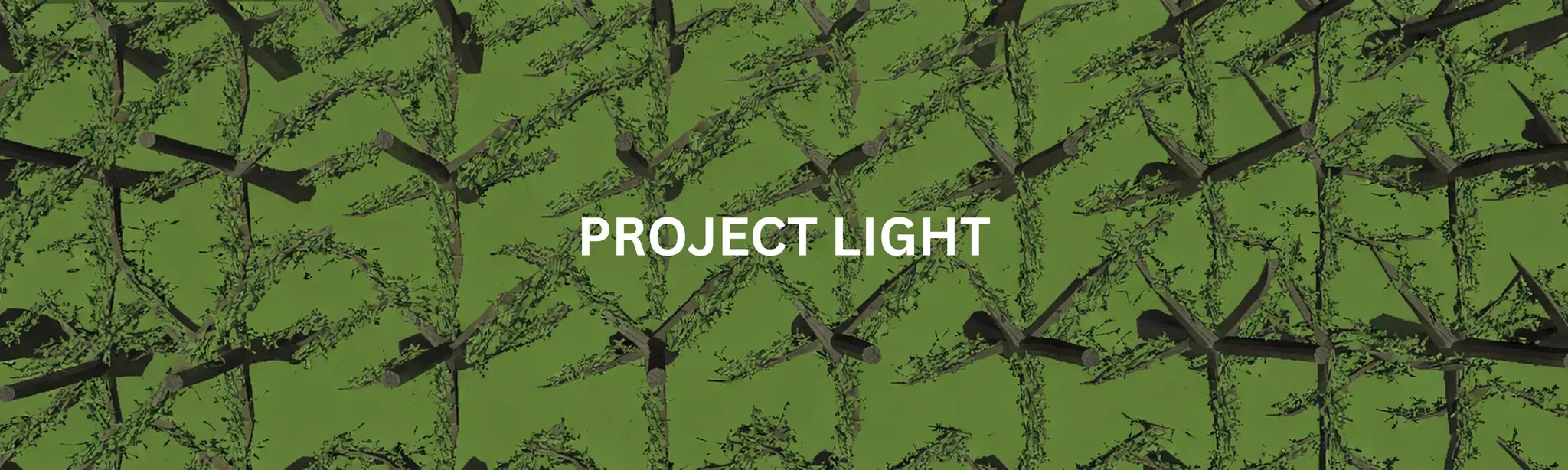 Project Light