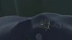 Unknown Taggers screenshot 4