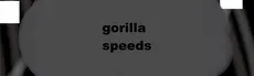 Gorilla Speeds hero image