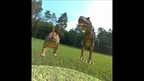 Dinosaur screenshot 5