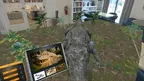 Dinosaur Land screenshot 5