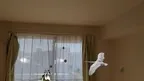 Avian Adventure MR screenshot 1