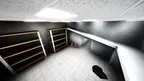 ScaryBaboon Enhanced screenshot 2